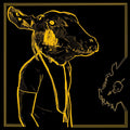 Shakey Graves - Roll The Bones X (2LP) (Gold & Black Vinyl) (New Vinyl)