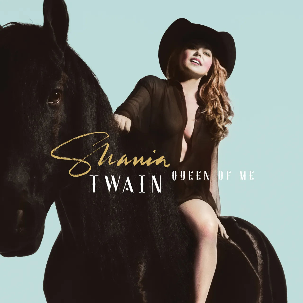 Shania Twain - Queen of Me (New CD)