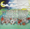 Sheepdogs-trying-to-grow-new-vinyl
