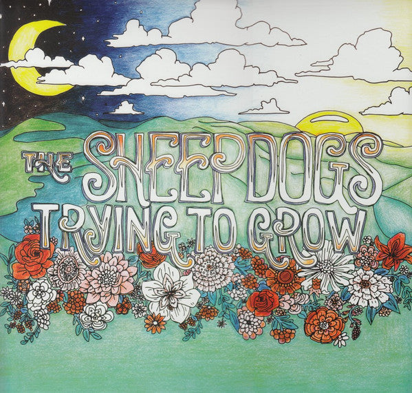 Sheepdogs-trying-to-grow-new-vinyl