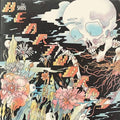 Shins-heartworms-new-vinyl
