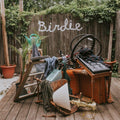 Slaughter-beach-dog-birdie-new-vinyl