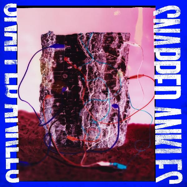 Snapped Ankles - Forest Of Your Problems (The Protester Edition) (Indie Exclusive) (New Vinyl)