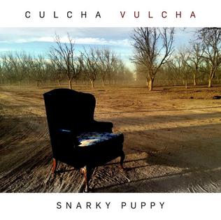 Snarky-puppy-culcha-vulcha-new-vinyl
