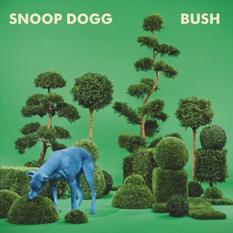 Snoop-dogg-bush-vinyl