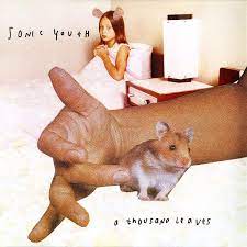 Sonic Youth - A Thousand Leaves (2LP) (New Vinyl)