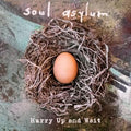 Soul Asylum - Hurry Up and Wait (RSD2020) (New Vinyl)