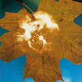 Soyuz - Force Of The Wind (New CD)