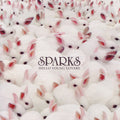 Sparks ‎– Hello Young Lovers (New CD)