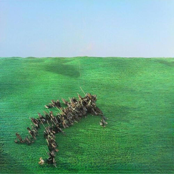 Squid - Bright Green Field (2LP) (Indie Shop Edition Colour Vinyl) (New Vinyl)