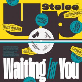 Stelee - Waiting For You (12") (New Vinyl)
