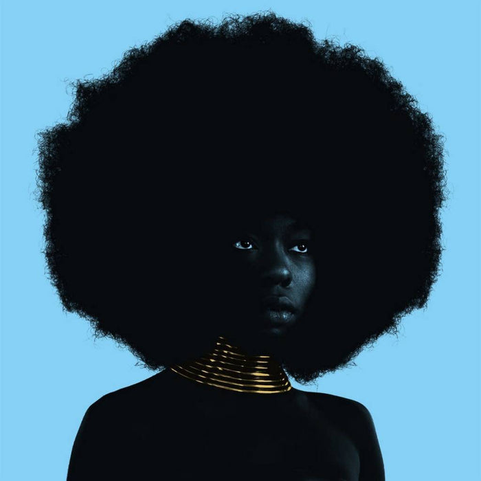 Sudan-archives-sink-new-vinyl
