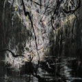 Sumac-love-in-shadow-new-vinyl