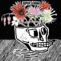 Superchunk-what-a-time-to-be-alive-new-vinyl