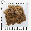 Susumu-yokota-cloud-hidden-import-new-vinyl
