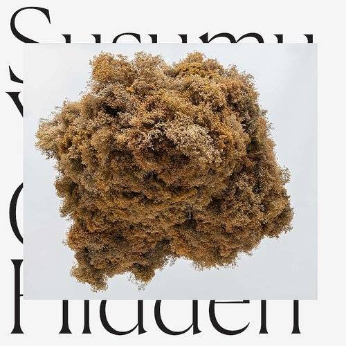 Susumu-yokota-cloud-hidden-import-new-vinyl