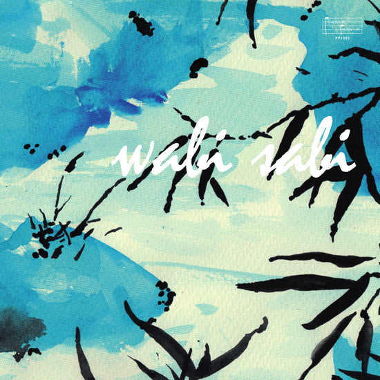 Sven-wunder-wabi-sabi-new-vinyl
