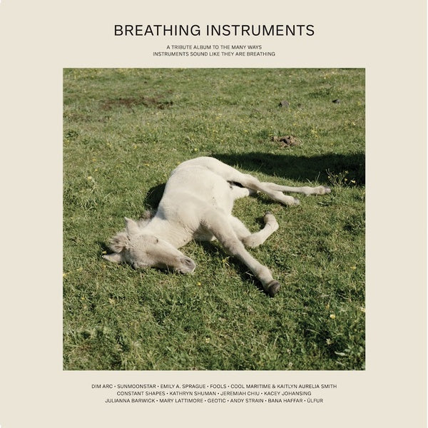 Various Artists - Breathing Instruments (New Vinyl)