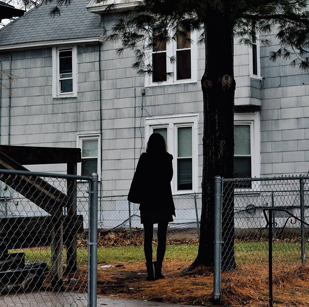 Tallest-man-on-earth-dark-bird-is-home-new-vinyl