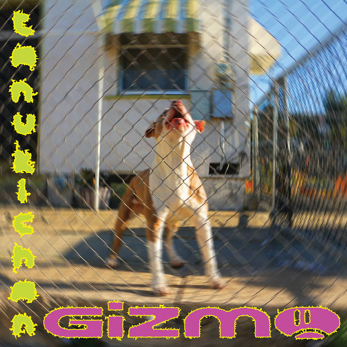 Tanukichan - GIZMO (New Vinyl)