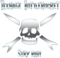 Teenage-bottlerocket-stay-rad-new-vinyl