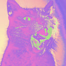 Teenanger - Good Time (New Vinyl)