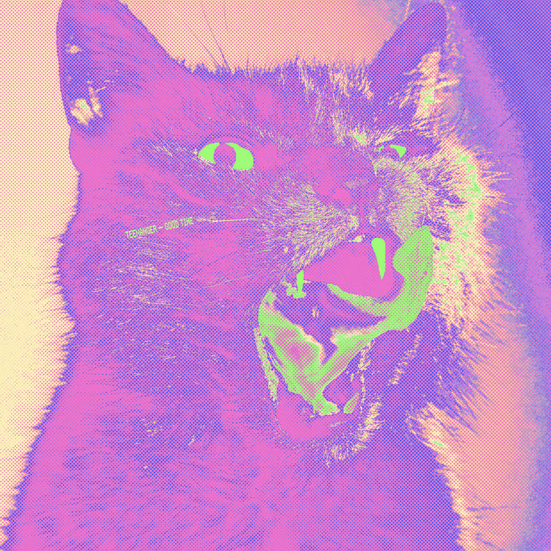 Teenanger - Good Time (New Vinyl)