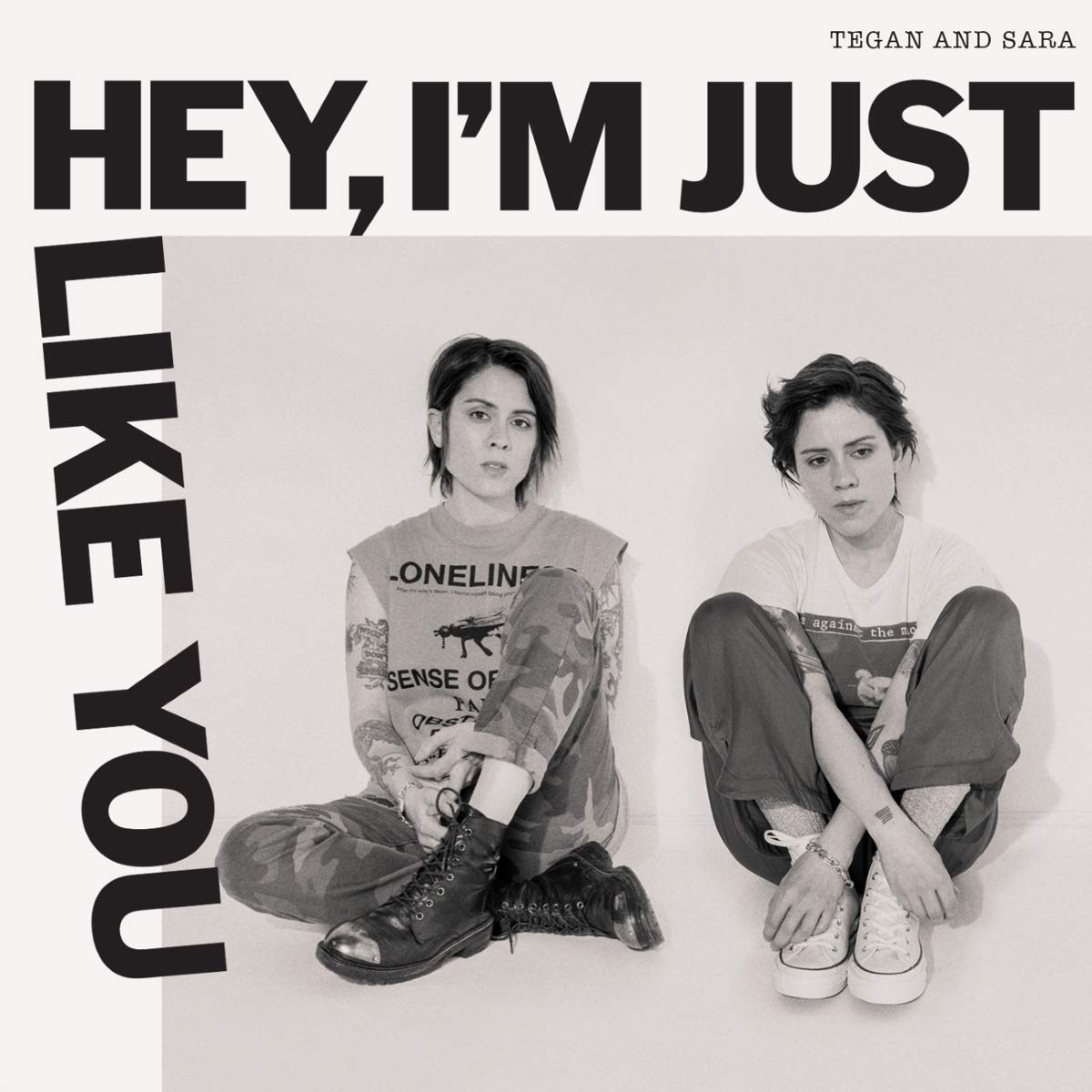 Tegan-and-sara-hey-i-m-just-like-you-new-vinyl