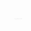 The-beatles-the-beatles-the-white-album-2009-remaster-new-vinyl