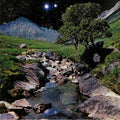 The Beta Band - The Beta Band (2LP+CD)(New Vinyl)