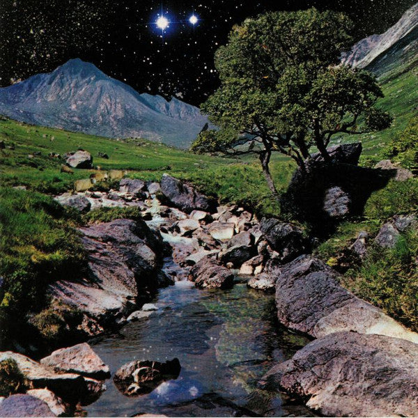 The Beta Band - The Beta Band (2LP+CD)(New Vinyl)