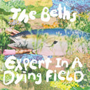 The Beths - Expert in a Dying Field (Silver) (New Vinyl)