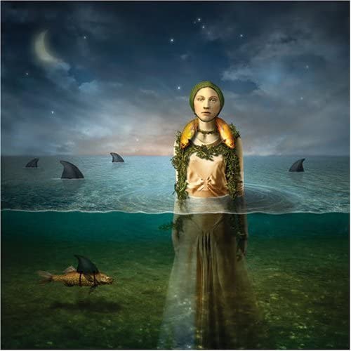 The Bled - Found In The Flood (New Vinyl)