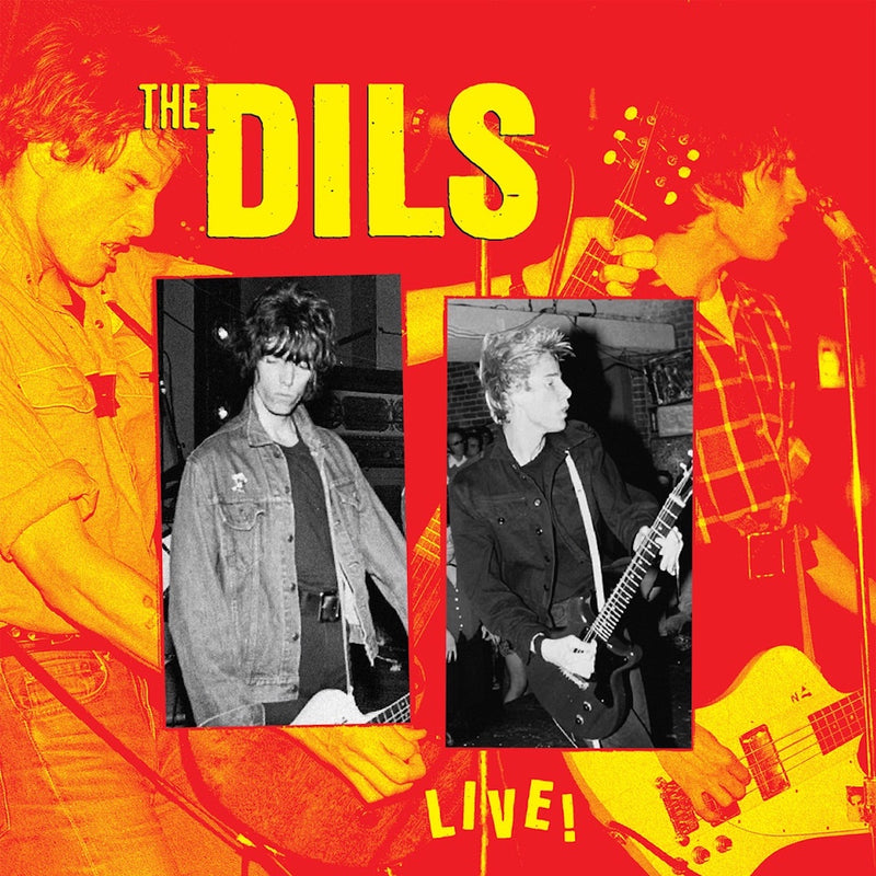 The Dils - Live!