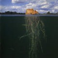 The Mars Volta - De-Loused in the Comatorium (2LP) (Ltd Gold/Dark Green) (New Vinyl)