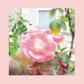 The Reds, Pinks & Purples - Summer At Land's End (New CD)