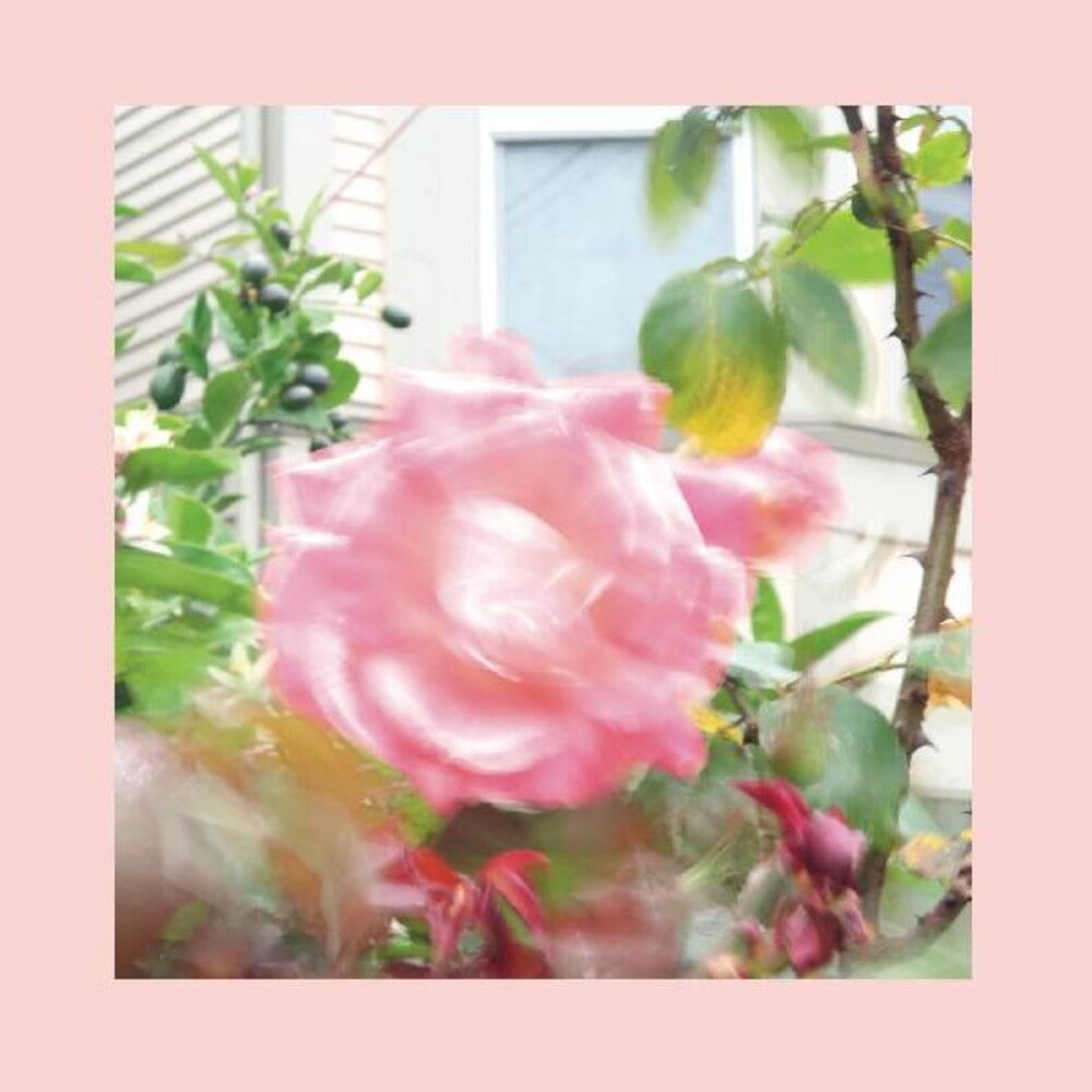 The Reds, Pinks & Purples - Summer At Land's End (New CD)