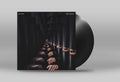 The Veils - Nux Vomica (New Vinyl)