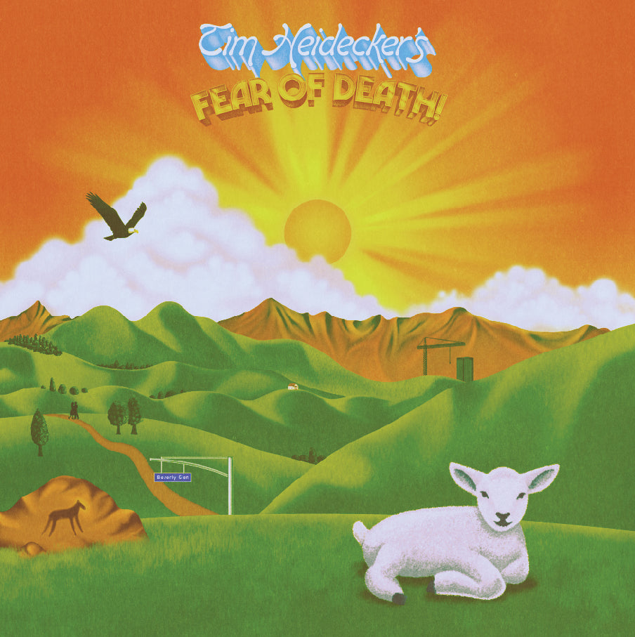Tim Heidecker - Fear Of Death (New CD)