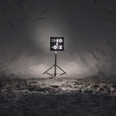 Tinariwen-live-in-paris-2014-new-vinyl