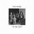Tony Molina - In The Fade (New Vinyl)