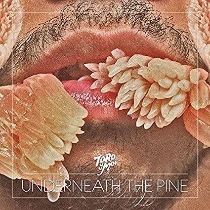Toro-y-moi-underneath-the-pine-new-vinyl