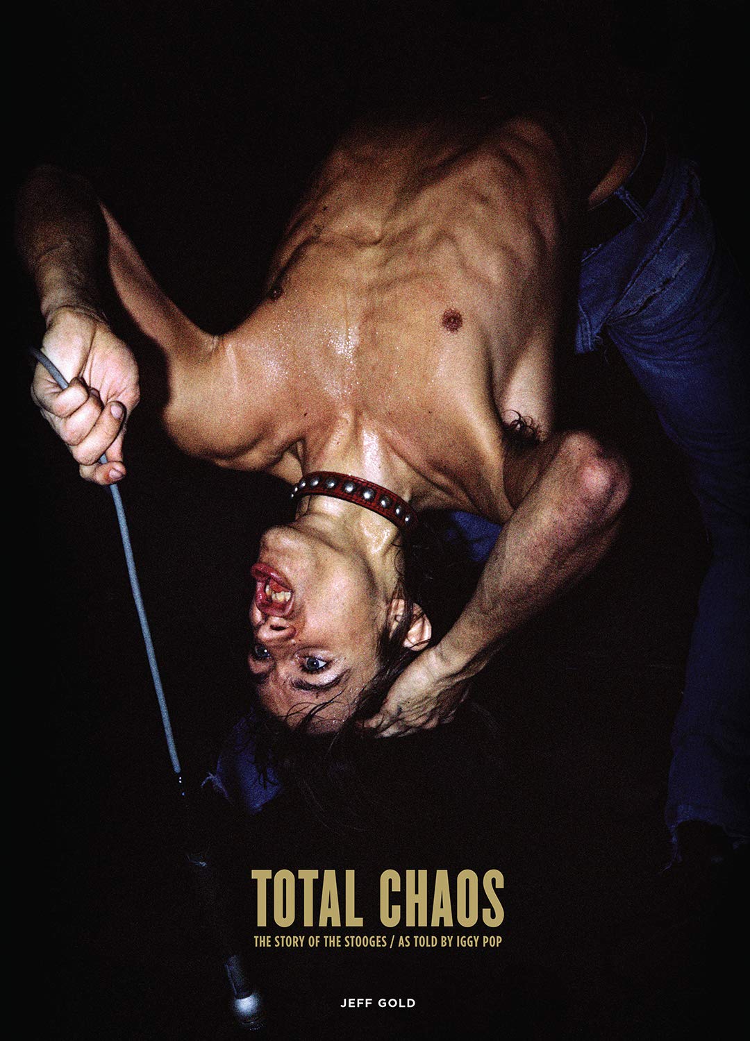 Total Chaos - The Story of The Stooges (New Book)