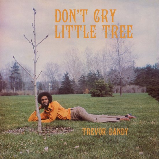 Trevor-dandy-don-t-cry-little-tree-new-cd