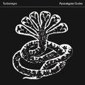 Turbonegro-apocalypse-dudes-new-vinyl
