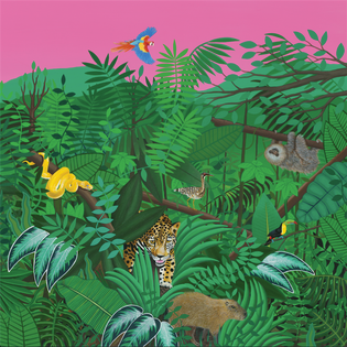 Turnover - Good Nature (Evergreen Vinyl)(New Vinyl)