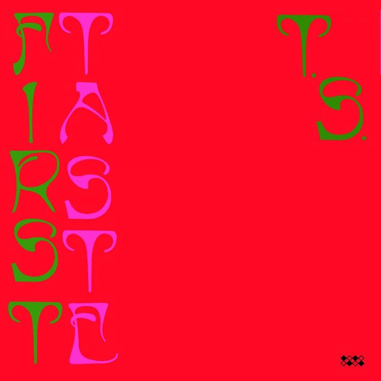 Ty-segall-first-taste-new-cd