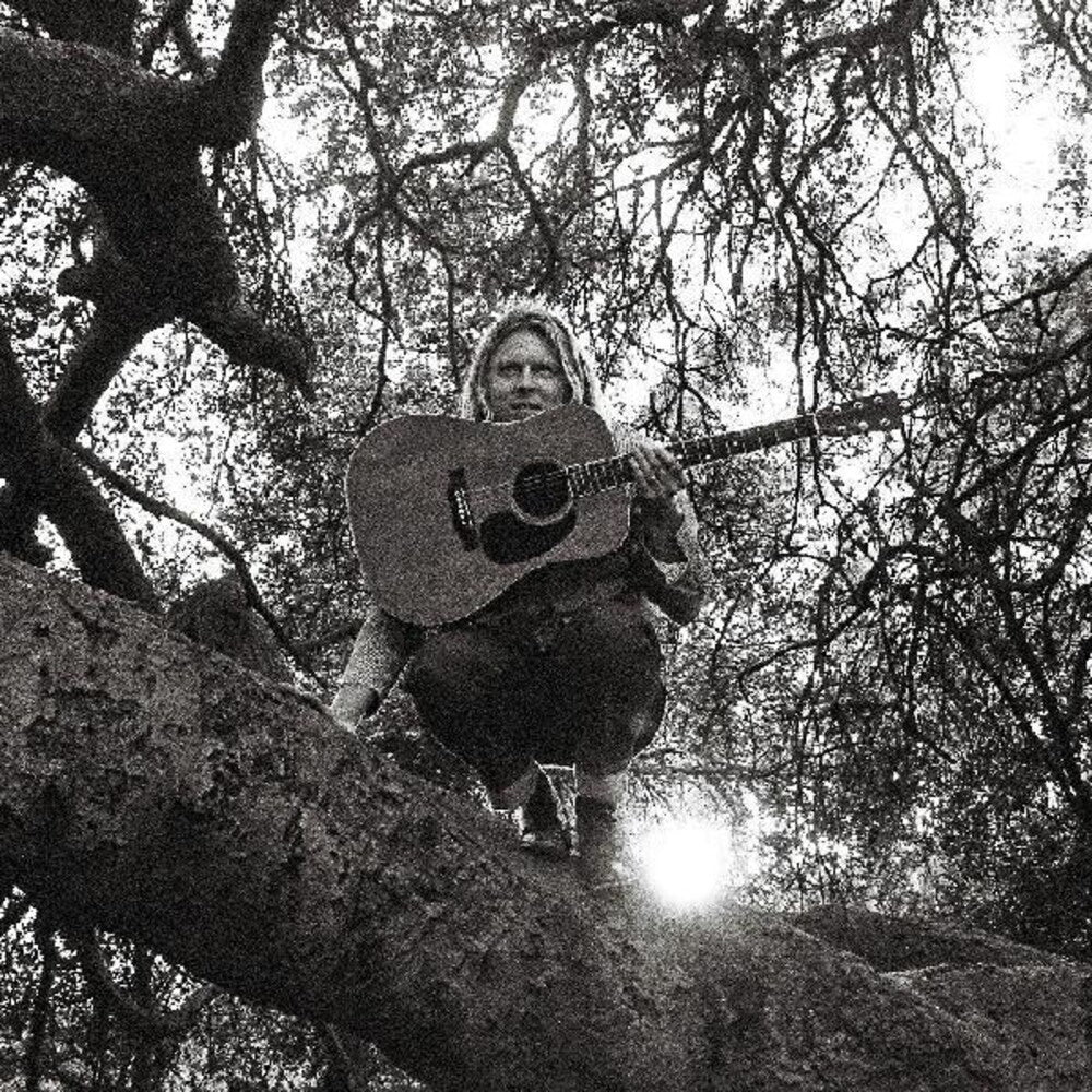 Ty Segall - Hello, Hi (New CD)