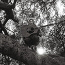 Ty Segall - Hello, Hi (New CD)
