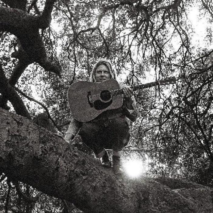 Ty Segall - "Hello, Hi" (New Vinyl)